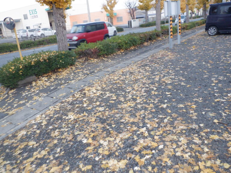 【毎年恒例】落ち葉清掃を実施しました